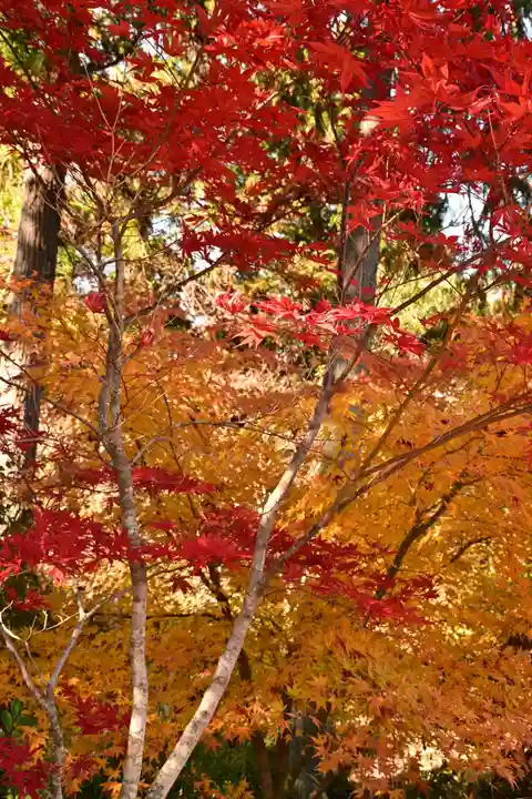 常樂寺(滋賀県)