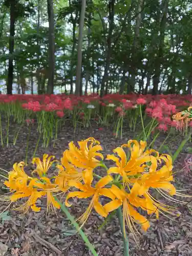 祖光院(千葉県)