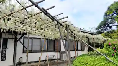 白旗神社(神奈川県)