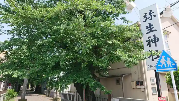 弥生神社のその他建物