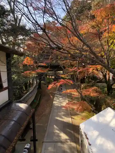 永源寺の建物その他