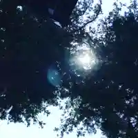 高司神社〜むすびの神の鎮まる社〜の自然