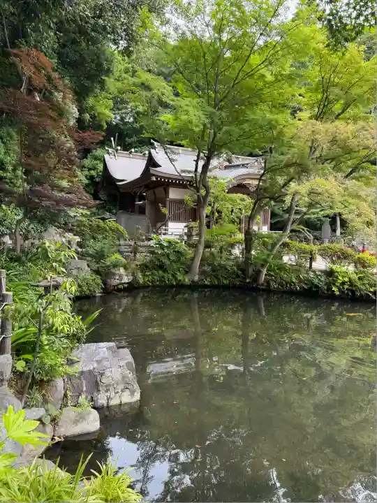 貫井神社(東京都)