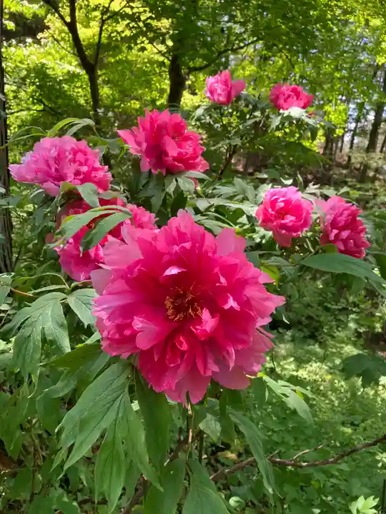 遠照寺(長野県)