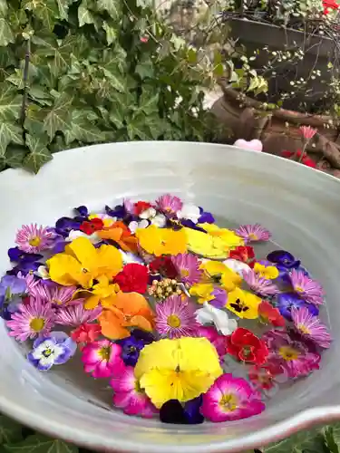 今戸神社(東京都)