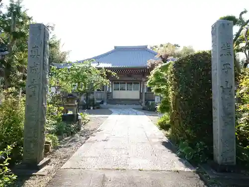 真成寺の本殿・本堂