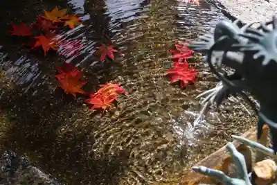 鹿島大神宮の手水舎