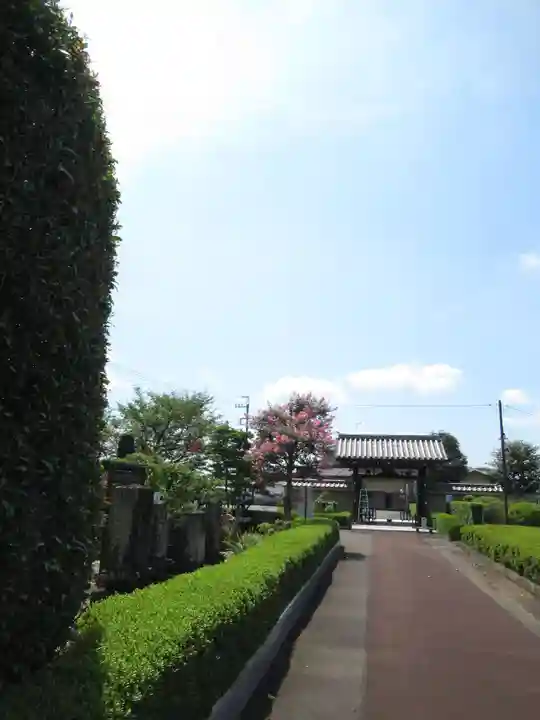 真光寺(千葉県)