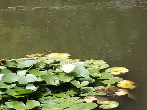 市原稲荷神社(愛知県)