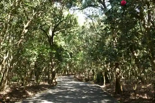 江田神社の自然