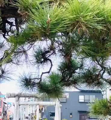 神武天皇遥拝殿(茨城県)