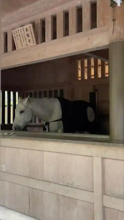 伊勢神宮外宮(豊受大神宮)(三重県)