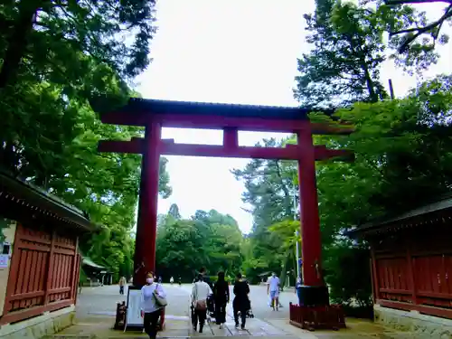 武蔵一宮氷川神社の鳥居