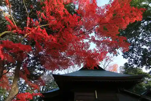 國祖神社の本殿・本堂