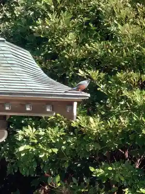 聖天神社（聖天上人像社）(神奈川県)