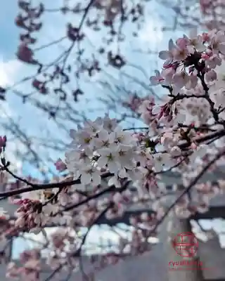 立志神社(滋賀県)