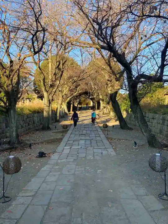 時宗総本山 遊行寺(正式:清浄光寺)(神奈川県)