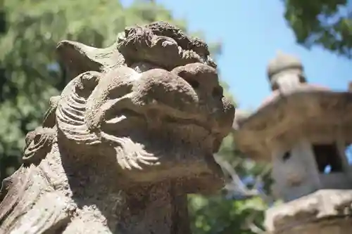 常磐神社の狛犬