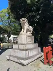 平塚八幡宮の狛犬