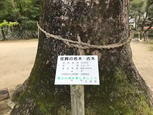 荒穂神社の自然