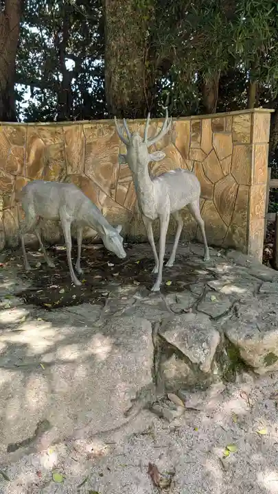 志賀海神社(福岡県)