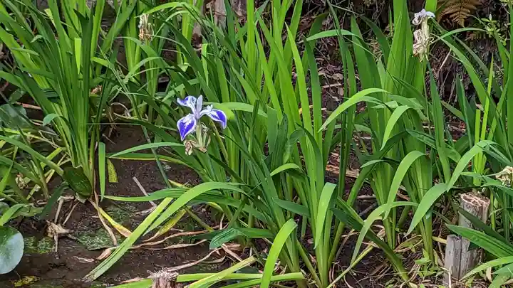 吉田神社(京都府)
