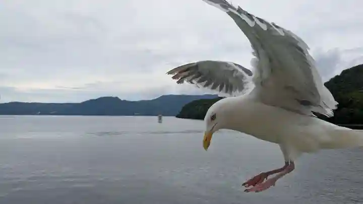 中島三重の塔の動物