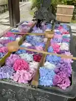 柳谷観音 楊谷寺の手水舎