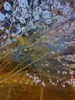 厚別神社(北海道)