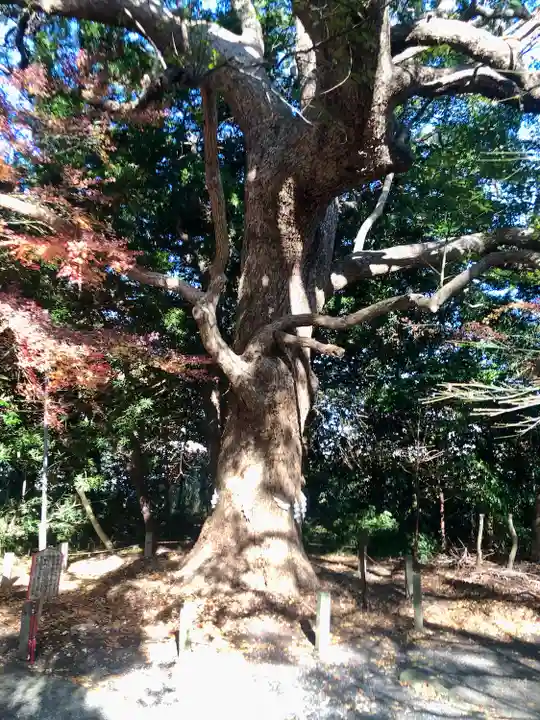 飯津佐和乃神社(静岡県)