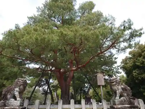 北野天満宮の庭園