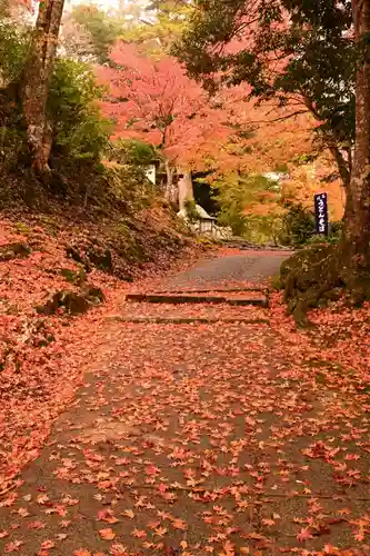 神護寺(京都府)