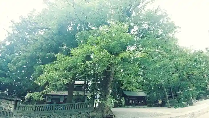 諏訪大社下社春宮(長野県)