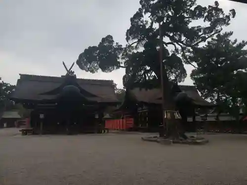 住吉大社の本殿・本堂