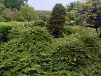 勧修寺(京都府)