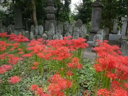 宝蔵院の自然