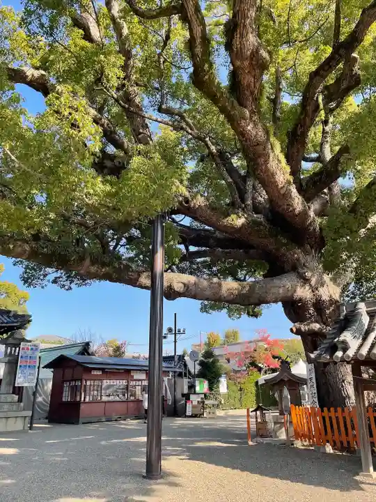 百舌鳥八幡宮(大阪府)