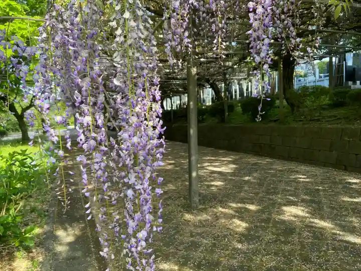 下之坊(静岡県)