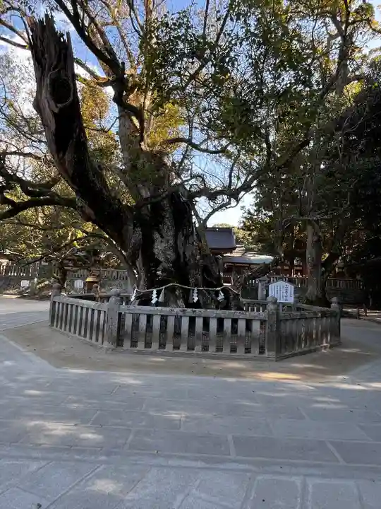大山祇神社(愛媛県)