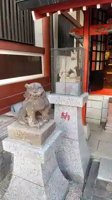 江東寺の狛犬
