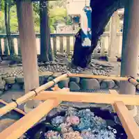 伊勢山皇大神宮の手水舎
