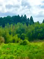 小坂熊野神社(茨城県)