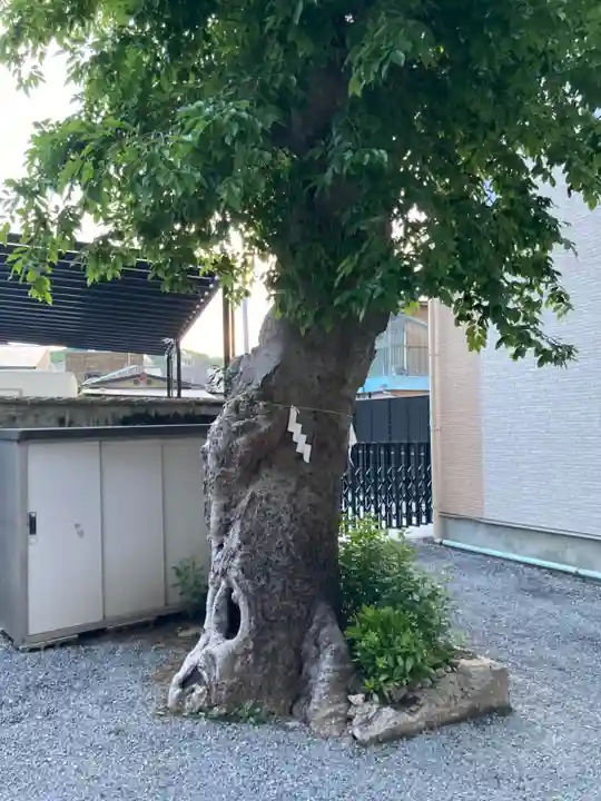 岩樟神社(兵庫県)