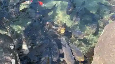 甲斐善光寺(山梨県)