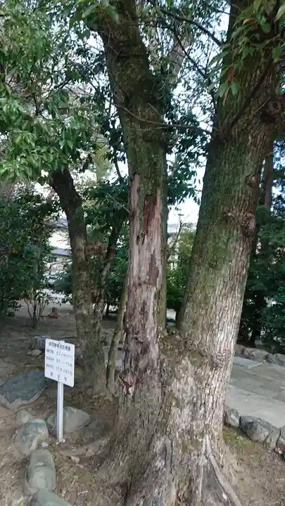 稲葉神社の自然