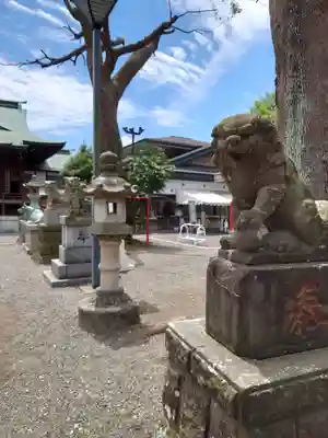 町田天満宮の狛犬