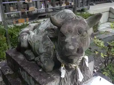 熊野若王子神社の狛犬