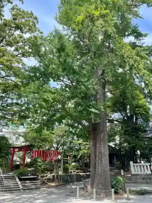 亀岡八幡宮(亀岡八幡神社)(神奈川県)