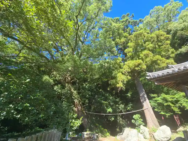 岩屋山 金剛寿院 福勝寺(和歌山県)
