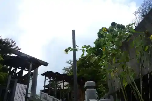 伊勢山皇大神宮(神奈川県)